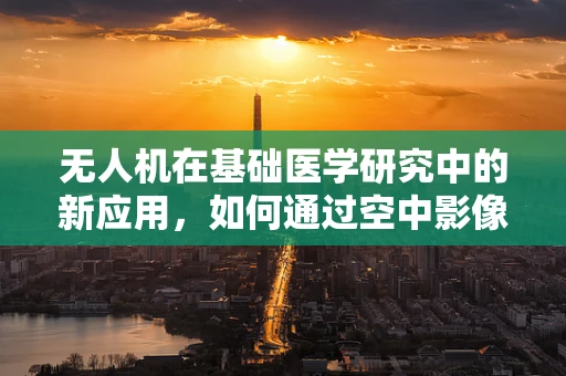无人机在基础医学研究中的新应用，如何通过空中影像技术提升疾病诊断精度？