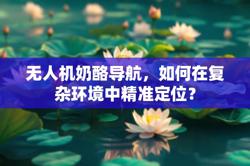 无人机奶酪导航，如何在复杂环境中精准定位？