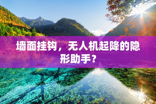 墙面挂钩，无人机起降的隐形助手？