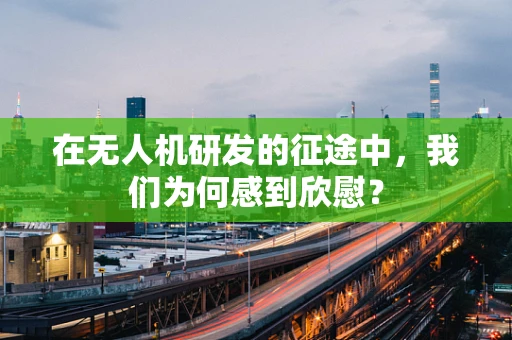 在无人机研发的征途中，我们为何感到欣慰？