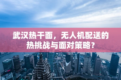 武汉热干面，无人机配送的热挑战与面对策略？