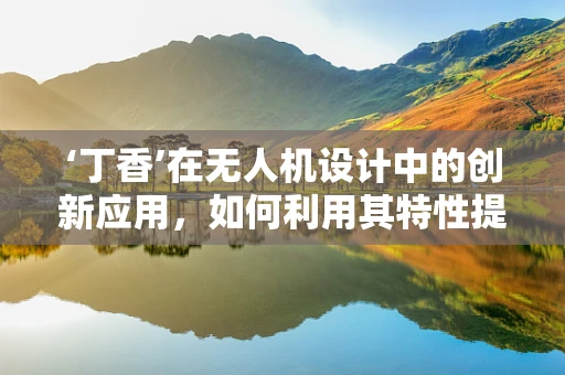 ‘丁香’在无人机设计中的创新应用，如何利用其特性提升飞行稳定性？