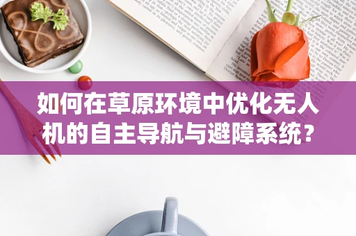 如何在草原环境中优化无人机的自主导航与避障系统？