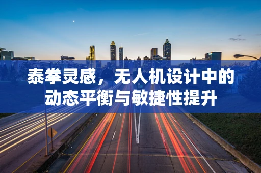 泰拳灵感，无人机设计中的动态平衡与敏捷性提升