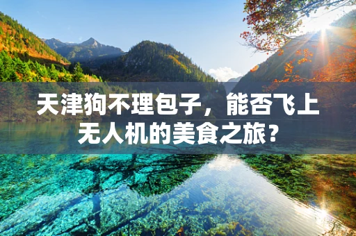 天津狗不理包子，能否飞上无人机的美食之旅？