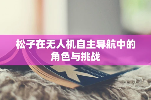 松子在无人机自主导航中的角色与挑战