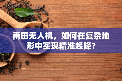 莆田无人机，如何在复杂地形中实现精准起降？