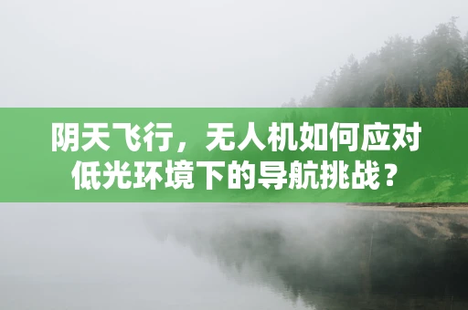 阴天飞行，无人机如何应对低光环境下的导航挑战？