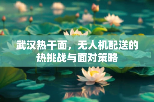 武汉热干面，无人机配送的热挑战与面对策略