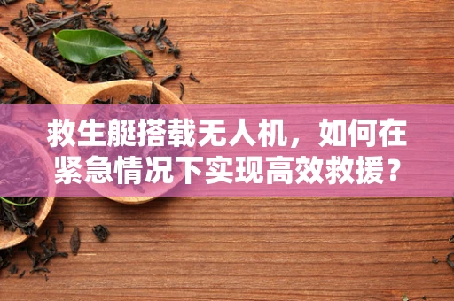 救生艇搭载无人机，如何在紧急情况下实现高效救援？