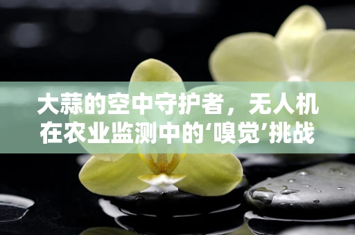 大蒜的空中守护者，无人机在农业监测中的‘嗅觉’挑战
