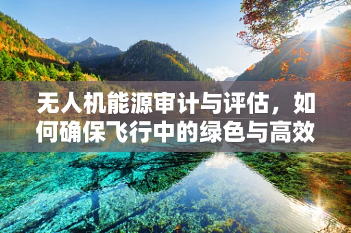 无人机能源审计与评估，如何确保飞行中的绿色与高效？