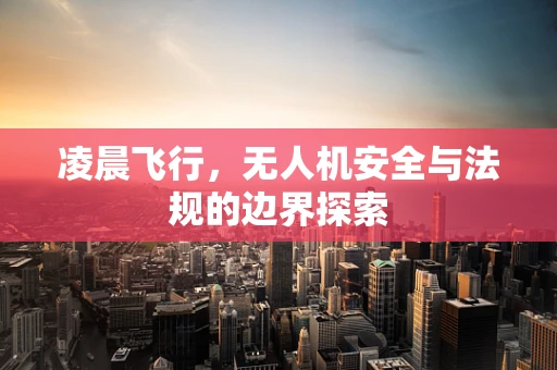 凌晨飞行，无人机安全与法规的边界探索