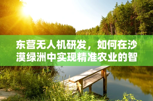 东营无人机研发，如何在沙漠绿洲中实现精准农业的智能飞跃？