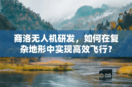 商洛无人机研发，如何在复杂地形中实现高效飞行？