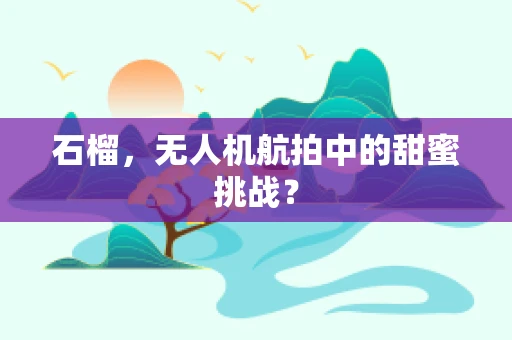 石榴，无人机航拍中的甜蜜挑战？