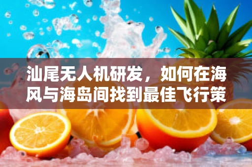汕尾无人机研发，如何在海风与海岛间找到最佳飞行策略？