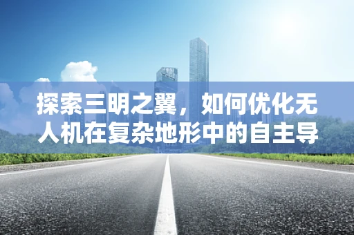 探索三明之翼，如何优化无人机在复杂地形中的自主导航？