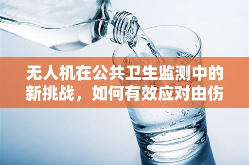 无人机在公共卫生监测中的新挑战，如何有效应对由伤寒和副伤寒引起的疫情？