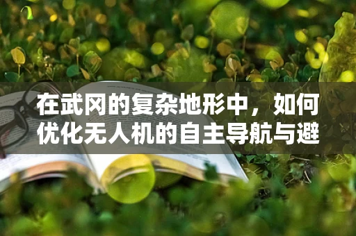 在武冈的复杂地形中，如何优化无人机的自主导航与避障能力？