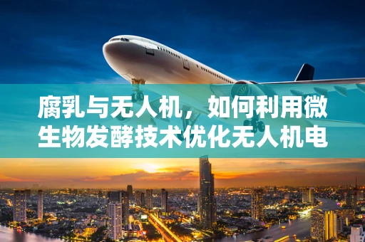 腐乳与无人机，如何利用微生物发酵技术优化无人机电池性能？