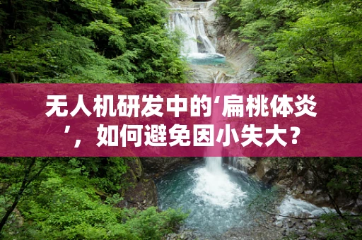 无人机研发中的‘扁桃体炎’，如何避免因小失大？