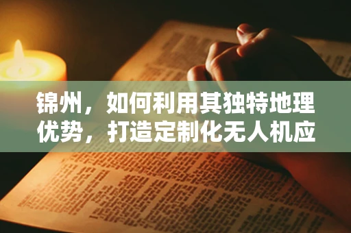锦州，如何利用其独特地理优势，打造定制化无人机应用场景？