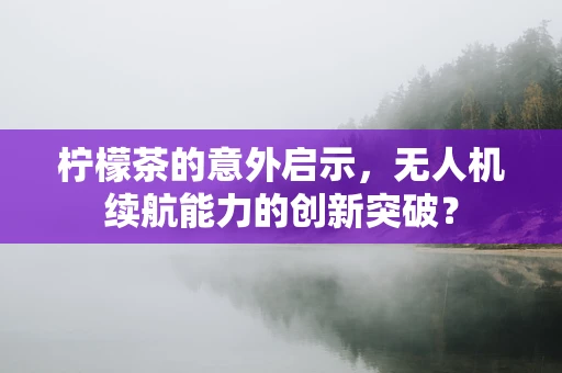 柠檬茶的意外启示，无人机续航能力的创新突破？