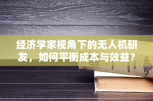 经济学家视角下的无人机研发，如何平衡成本与效益？