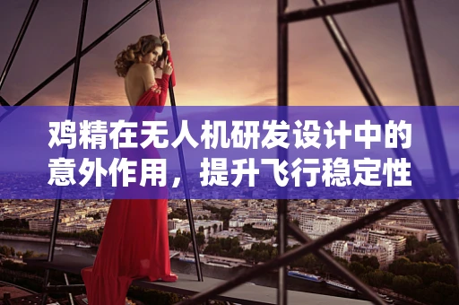 鸡精在无人机研发设计中的意外作用，提升飞行稳定性的新思路？