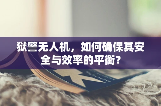 狱警无人机，如何确保其安全与效率的平衡？