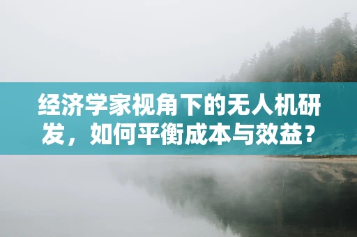 经济学家视角下的无人机研发，如何平衡成本与效益？