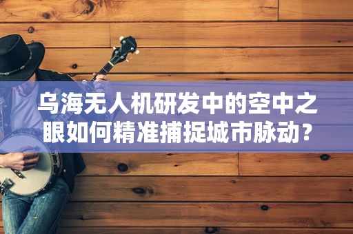 乌海无人机研发中的空中之眼如何精准捕捉城市脉动？