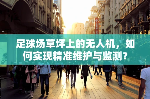 足球场草坪上的无人机，如何实现精准维护与监测？