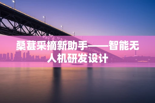 桑葚采摘新助手——智能无人机研发设计