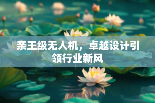 亲王级无人机，卓越设计引领行业新风