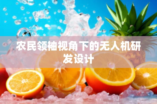 农民领袖视角下的无人机研发设计