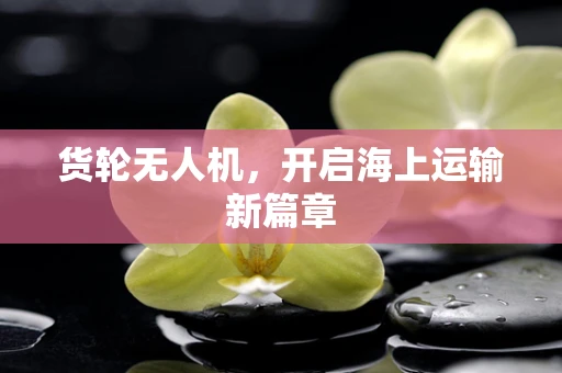 货轮无人机，开启海上运输新篇章