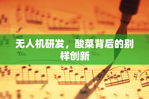 无人机研发，酸菜背后的别样创新
