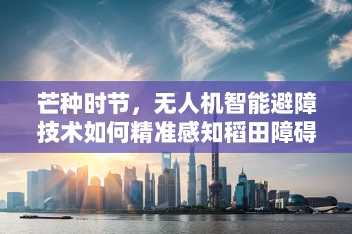 芒种时节，无人机智能避障技术如何精准感知稻田障碍？