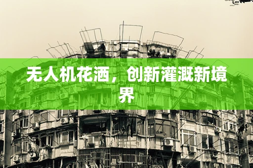 无人机花洒，创新灌溉新境界