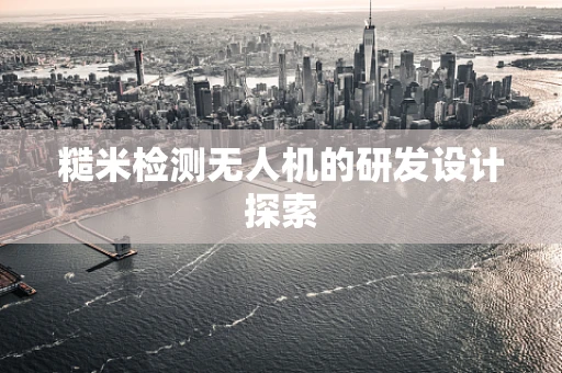糙米检测无人机的研发设计探索