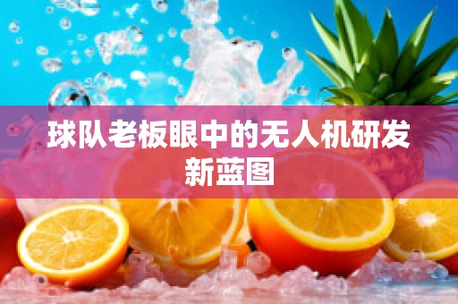球队老板眼中的无人机研发新蓝图