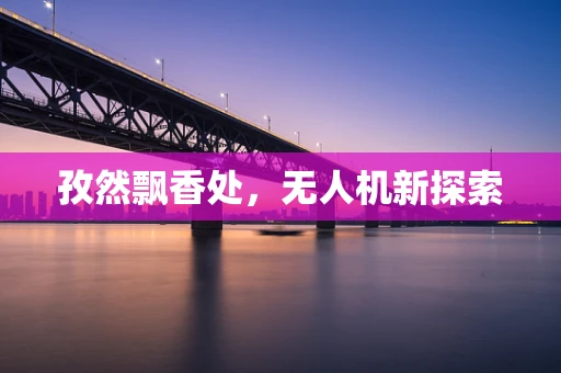 孜然飘香处，无人机新探索