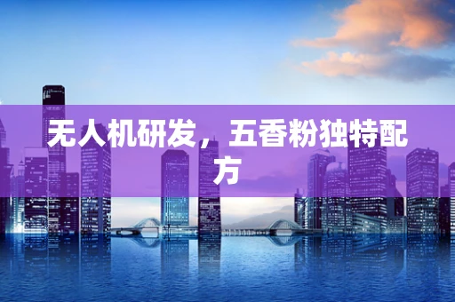无人机研发，五香粉独特配方