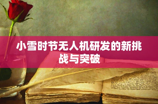小雪时节无人机研发的新挑战与突破