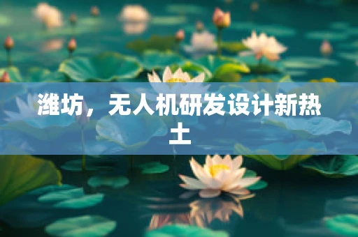 潍坊，无人机研发设计新热土
