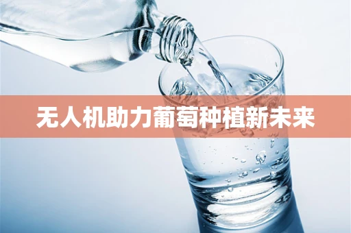无人机助力葡萄种植新未来