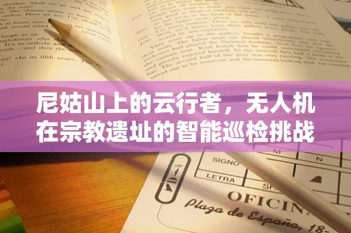 尼姑山上的云行者，无人机在宗教遗址的智能巡检挑战