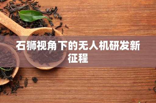 石狮视角下的无人机研发新征程